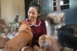 Video: Dành cả thanh xuân để chăm sóc chó, mèo