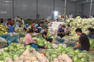 Video: Xuyên đêm mang hàng trăm ngàn tấn lương thực đến tay người dân Bình Dương