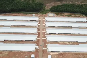 Video: Bên trong Bệnh viện dã chiến lớn nhất tỉnh Đồng Nai có gì đặc biệt? 