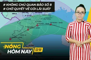 Nóng hôm nay: Không chủ quan trước bão số 8; Chờ quyết về gói lãi suất