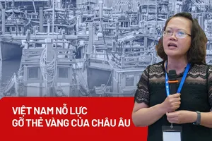 Những nỗ lực nổi bật của Việt Nam nhằm gỡ thẻ vàng của Châu Âu