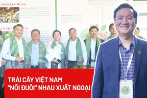 Trái cây Việt Nam 'nối đuôi' nhau xuất ngoại
