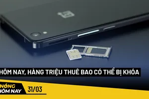 Nóng hôm nay: Từ 1-7, bắt đầu thí điểm đấu giá biển số xe ô tô