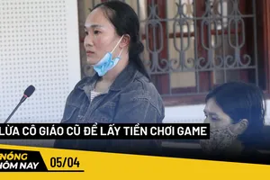 Nóng hôm nay: Cây đổ tại trường Trần Văn Ơn 'có dấu hiệu mục rỗng phần rễ'