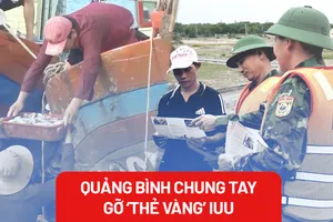 Nỗ lực và giải pháp của Quảng Bình trong việc chung tay gỡ 'thẻ vàng' IUU