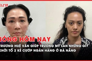 Nóng hôm nay: Trương Huệ Vân đã giúp sức cho bà Trương Mỹ Lan ra sao?