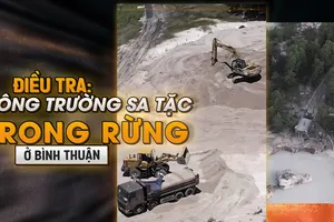 Trailler điều tra: 'Công trường sa tặc' trong rừng ở Bình Thuận