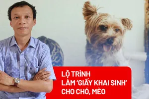 'Giấy khai sinh' cho chó mèo: Lộ trình thế nào cho phù hợp?