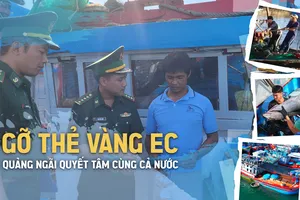 Quảng Ngãi quyết liệt cùng cả nước gỡ thẻ vàng EC