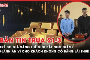 Bản tin trưa 21-03: Lãnh án vì cho khách không có bằng lái thuê xe; Lý do giá vàng thế giới bất ngờ giảm?