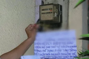 Đề nghị khởi tố hành vi trộm cắp trong hàng trăm vụ "câu" điện