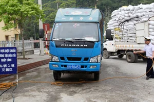 Dịch cúm H7N9 thập thò ở biên giới Việt-Trung