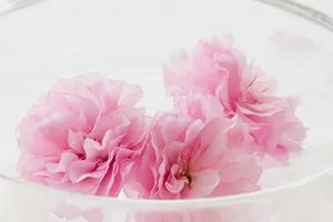 Làm đẹp nhờ hoa ngày Tết