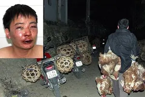 Nhà báo tác nghiệp là thi hành công vụ?