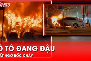 Video: Chiếc ô tô biển số tỉnh Lâm Đồng cháy rụi khi đang đậu