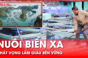 Nuôi biển xa – Hướng đi mới giúp ngư dân làm giàu bền vững