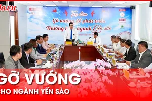 Gỡ vướng cho việc xây dựng thương hiệu ngành yến sào