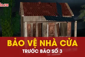 Video hướng dẫn người dân bảo vệ nhà cửa trước bão số 3