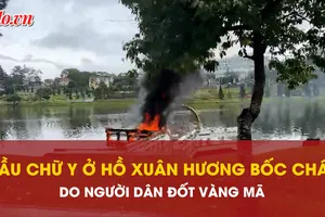  Cầu chữ Y ở hồ Xuân Hương bất ngờ bốc cháy