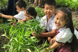 TP.HCM: 9 trường học nào theo mô hình tiên tiến?