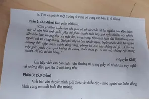Phòng GD&ĐT quận 3 lên tiếng về đề văn lớp 8 