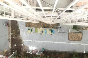 Chia sẻ xúc động của tác giả bức ảnh gây bão mạng 