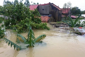 Kêu gọi quyên góp sách vở giúp học sinh vùng lũ