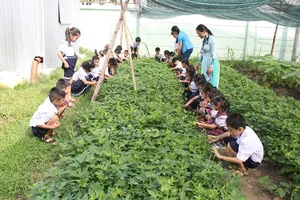 TP.HCM: Các trường không được tổ chức hoạt động ngoài giờ