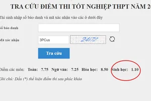 Có thí sinh từ 1,1 điểm tăng vọt lên 8,75 điểm sau phúc khảo bài thi tốt nghiệp THPT