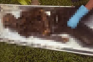 Phát hiện hài cốt dưới cầu Bình Triệu: Gần 2 năm chưa xác định được thân nhân