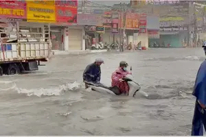 Đồng Nai: Mưa lớn kéo dài, nhiều tuyến đường chìm trong ‘biển nước’