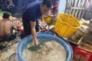 TP.HCM: Phát hiện 3 cơ sở ngâm hoa chuối với hàn the, chất tẩy trắng