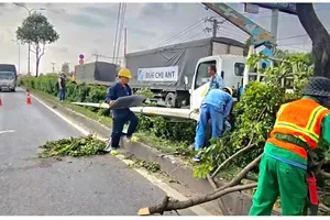 Xe 7 chỗ tông gãy trụ đèn, cửa ngõ Tây Bắc TP.HCM ùn ứ kéo dài