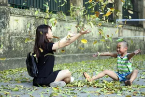 Đẹp mê say những con phố thủ đô ngập lá vàng