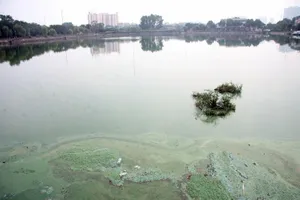 Hồ nước bốc mùi hôi thối, người dân 'cố thủ' trong nhà