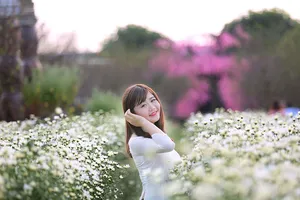 Thiếu nữ Hà thành 'đọ sắc' cùng hoa cúc họa mi