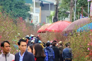 Chùm ảnh: Không khí Tết ngập tràn phố phường Hà Nội