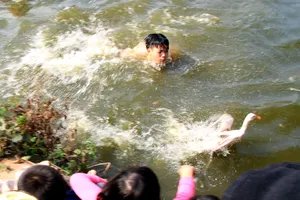 Dân đội nắng xem trò ba thanh niên “bắt vịt“