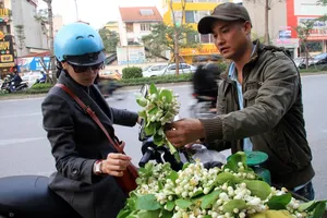 Hoa bưởi gần 300.000 đồng/kg vẫn hút khách Hà Nội