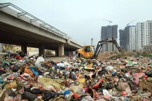 Công ty đổ trộm 80 tấn rác có thể bị phạt đến 400 triệu