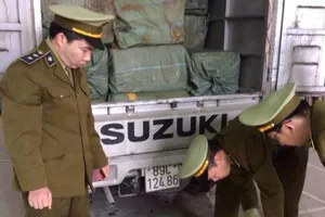 Tiêu hủy hơn 2 tấn mỡ lợn bẩn bốc mùi hôi thối