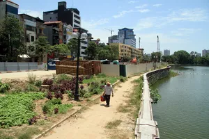 Dân đội nắng đi qua những con đường từng chặt hạ cây