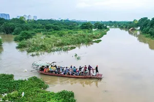 Chùm ảnh: Bãi giữa sông Hồng hóa 'ốc đảo'