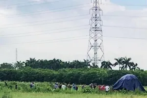 2 người bị sét đánh tử vong khi đang đi cấy