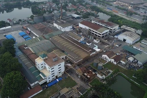 Sự cố tại Công ty Miwon: Xem xét trách nhiệm hình sự nếu có