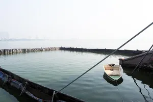 Cảnh đìu hiu của dự án thí điểm làm sạch nước hồ Tây