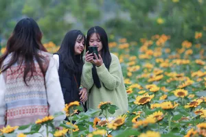 Hà Nội: Hàng nghìn người đổ về Lễ hội hoa Mê Linh năm 2022 