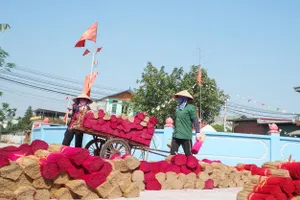 Hà Nội: Làng hương Quảng Phú Cầu rực sắc dịp giáp Tết