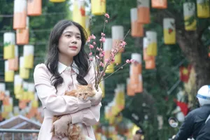 Giới trẻ hào hứng check-in phố bích họa Phùng Hưng dịp Tết