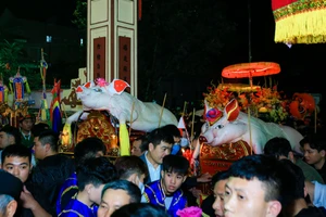 Độc đáo lễ rước 'ông lợn' trong đêm ở Hà Nội